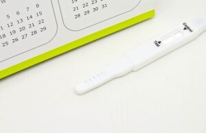What is ovulation